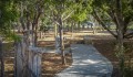 PHP West Dog Park Closed Saturday, June 1, 10 a.m. to Noon